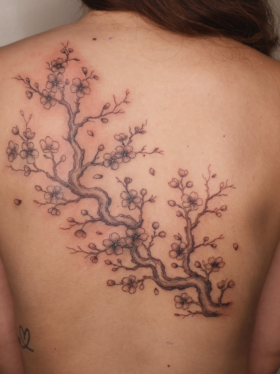 Tattoo by @divinebeautybarbyaly — fine_line, black_and_grey