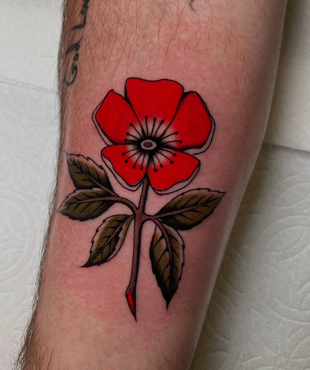 Tattoo by @niko.mulhearn — american_traditional