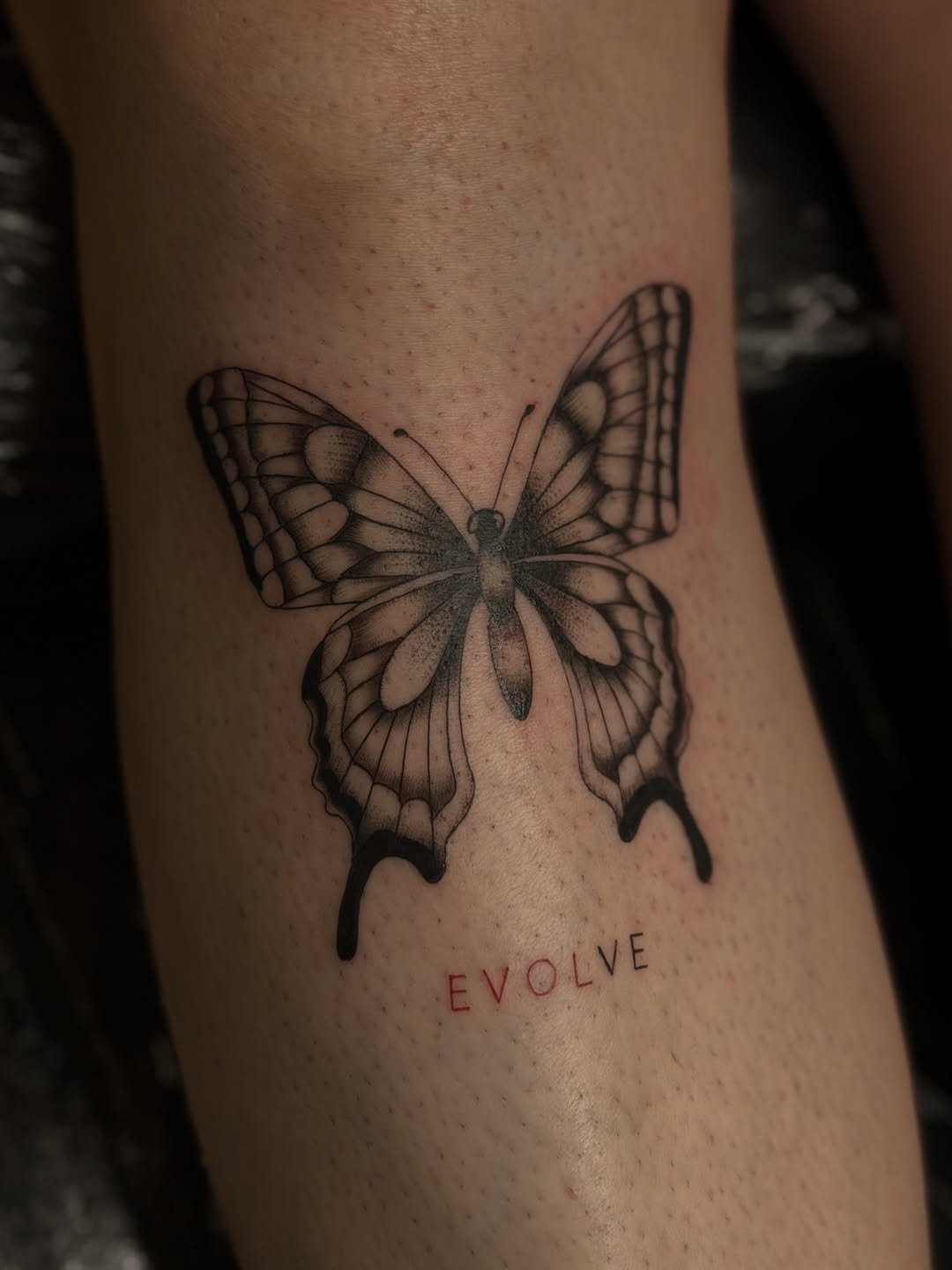 Tattoo by @wildcoyoteco — fine_line, black_and_grey