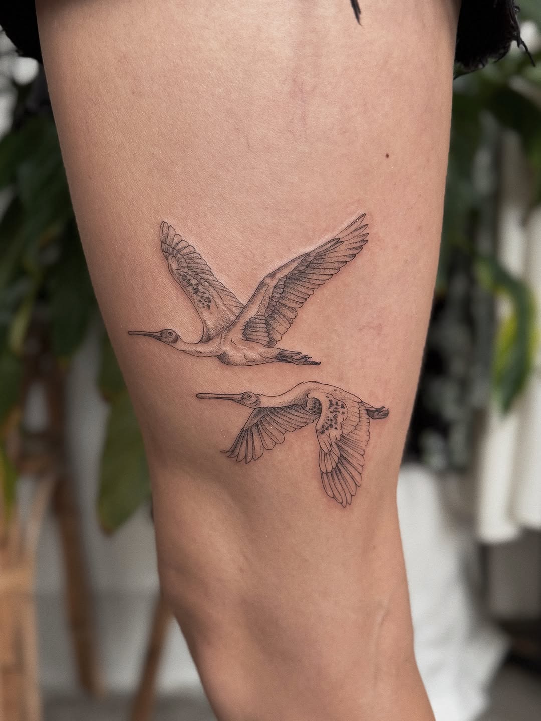 Tattoo by @somberallure — fine_line, realism