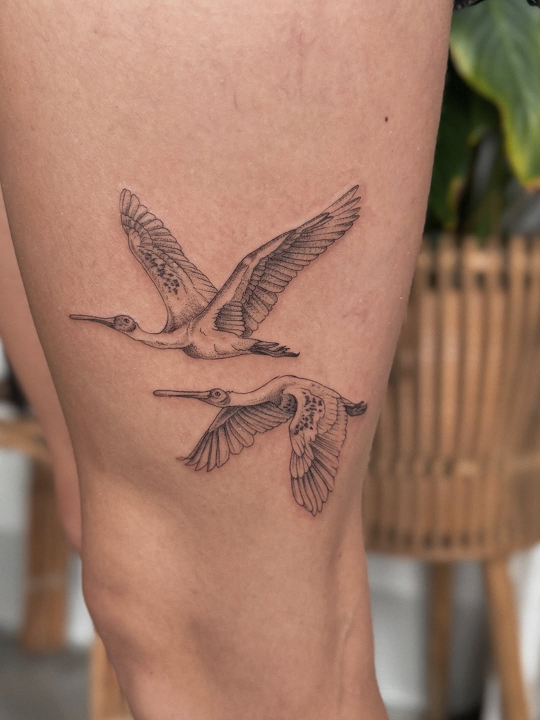 Tattoo by @somberallure — fine_line, realism