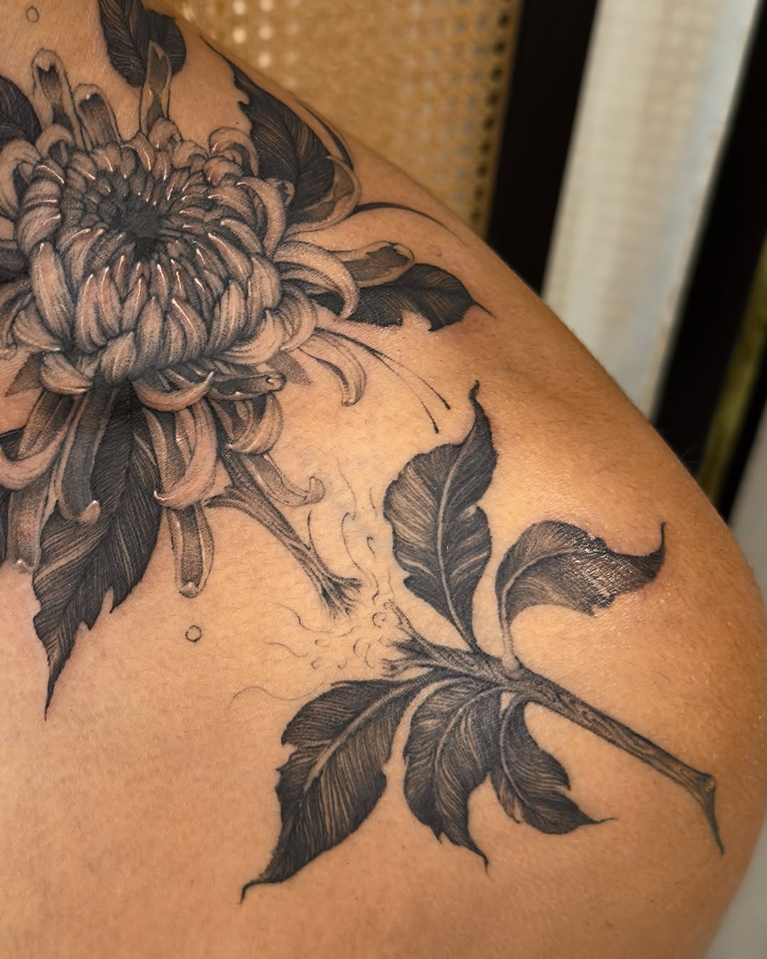 Tattoo by @tiny_tim.tatts โ black_and_grey, realism
