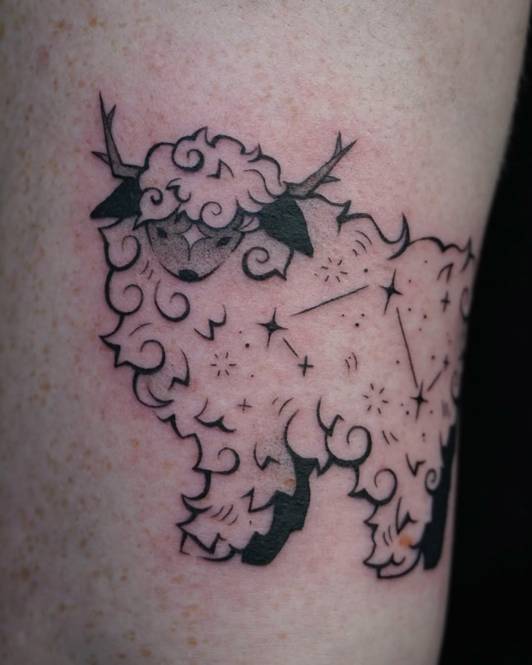 Tattoo by @scaredy.cat.tatts — fine_line, illustrative