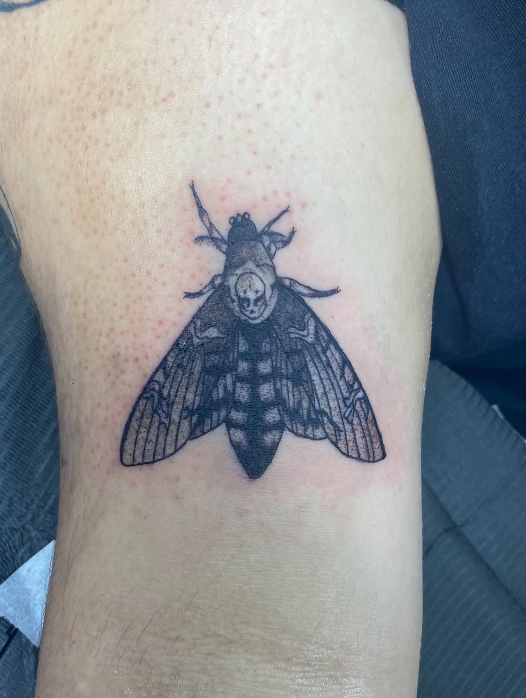 Tattoo by @disturbed_0riental_tattoos — black_and_grey, realism