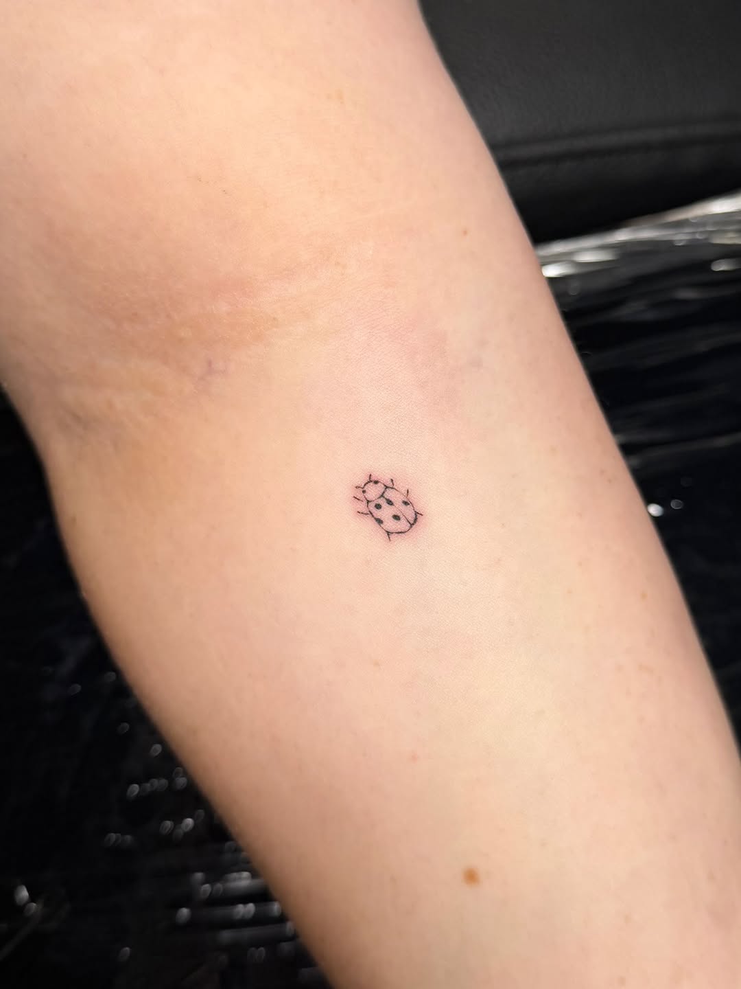 Tattoo by @kphaninks — fine_line, minimalist