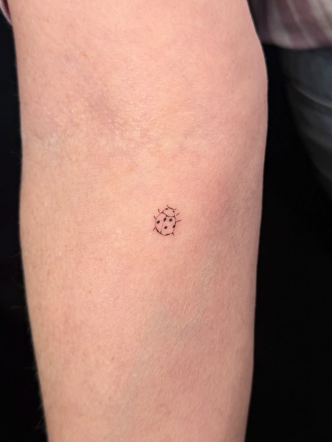 Tattoo by @kphaninks — fine_line, minimalist