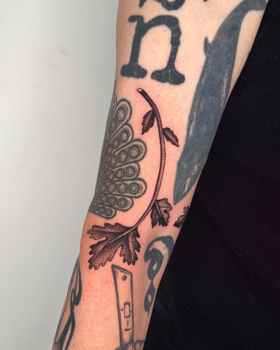 Tattoo by @jae_tatt — fine_line, dotwork