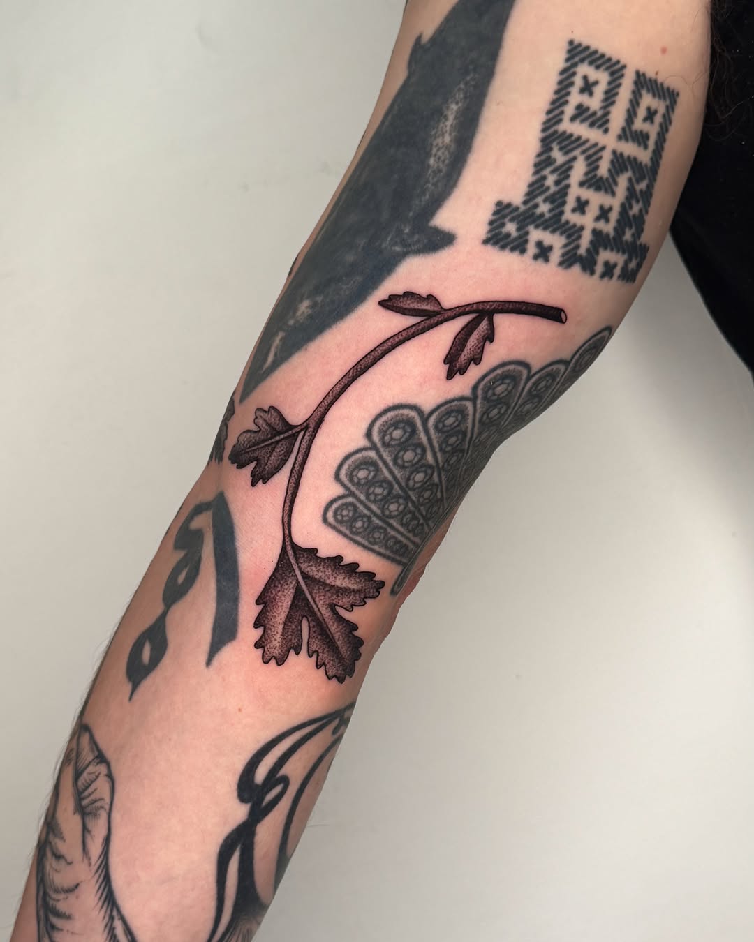 Tattoo by @jae_tatt — dotwork, fine_line