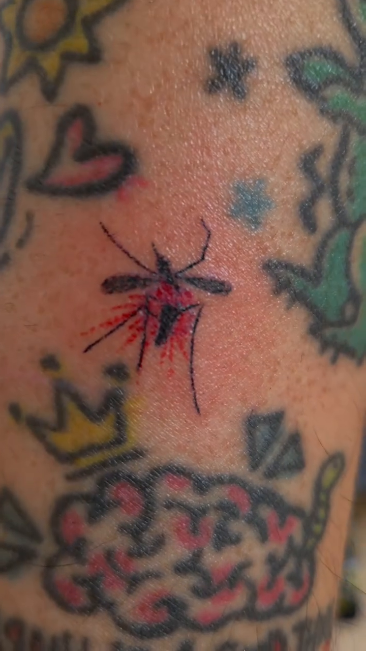 Tattoo by @catnip.tattoo — new_school, illustrative