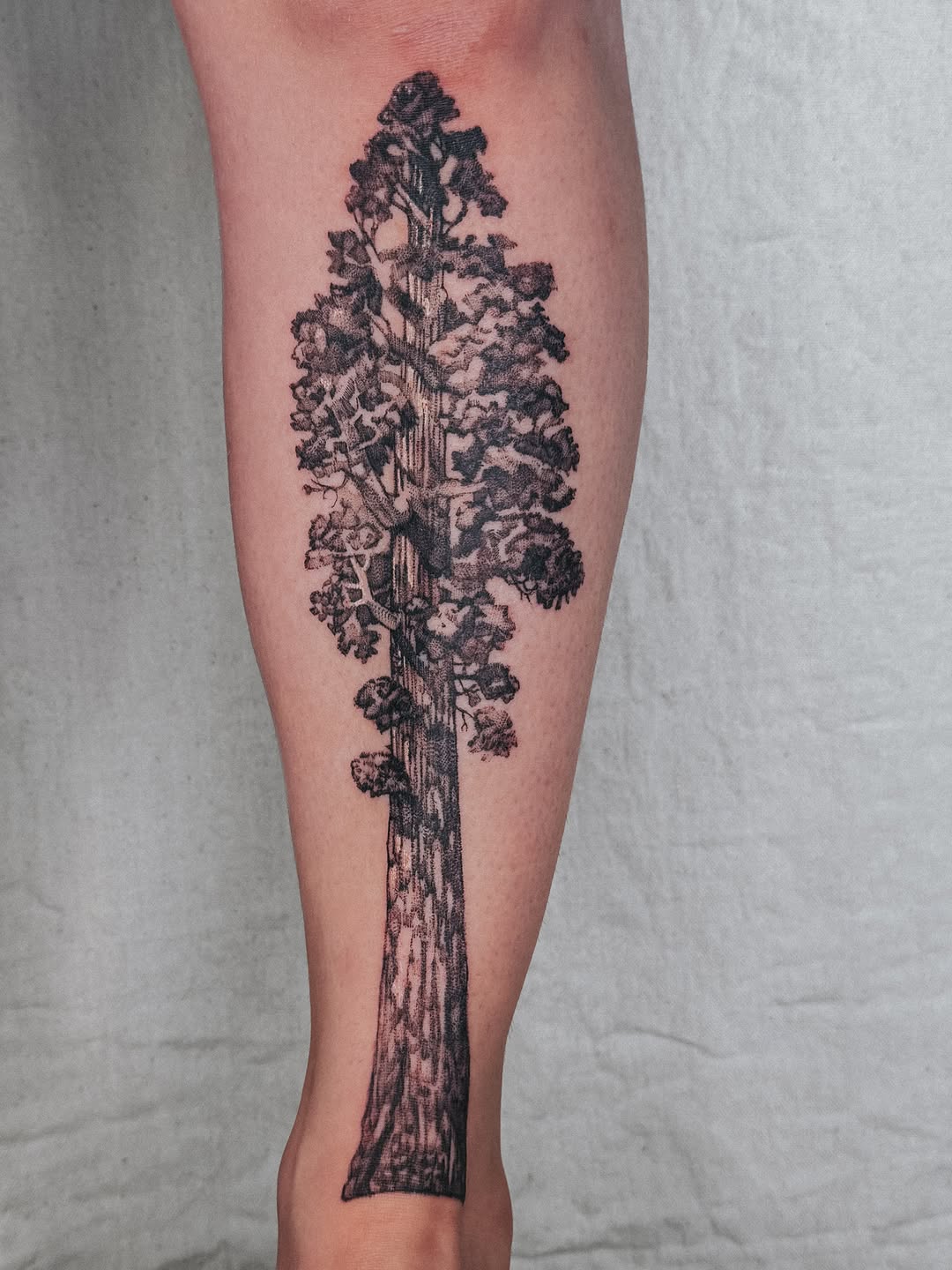 Tattoo by @lucy__yin — black_and_grey, realism