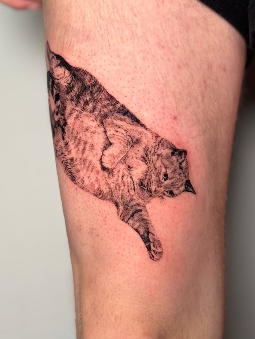Tattoo by @redrooktattoo โ realism, black_and_grey