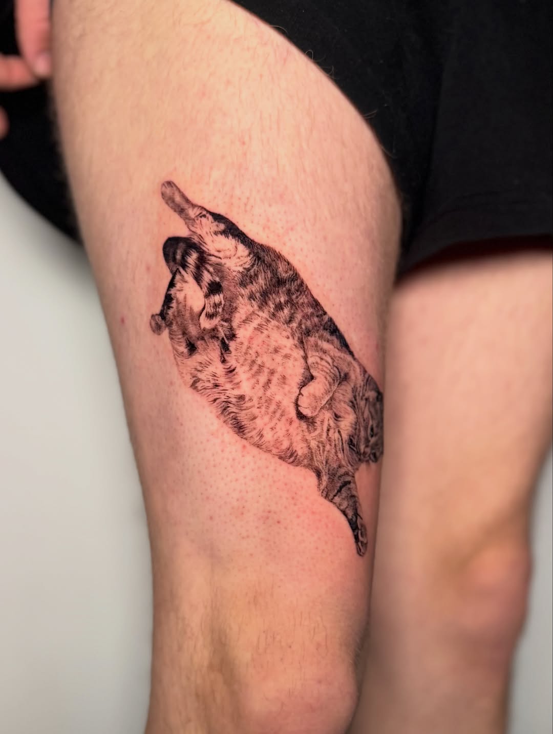 Tattoo by @redrooktattoo โ realism, black_and_grey