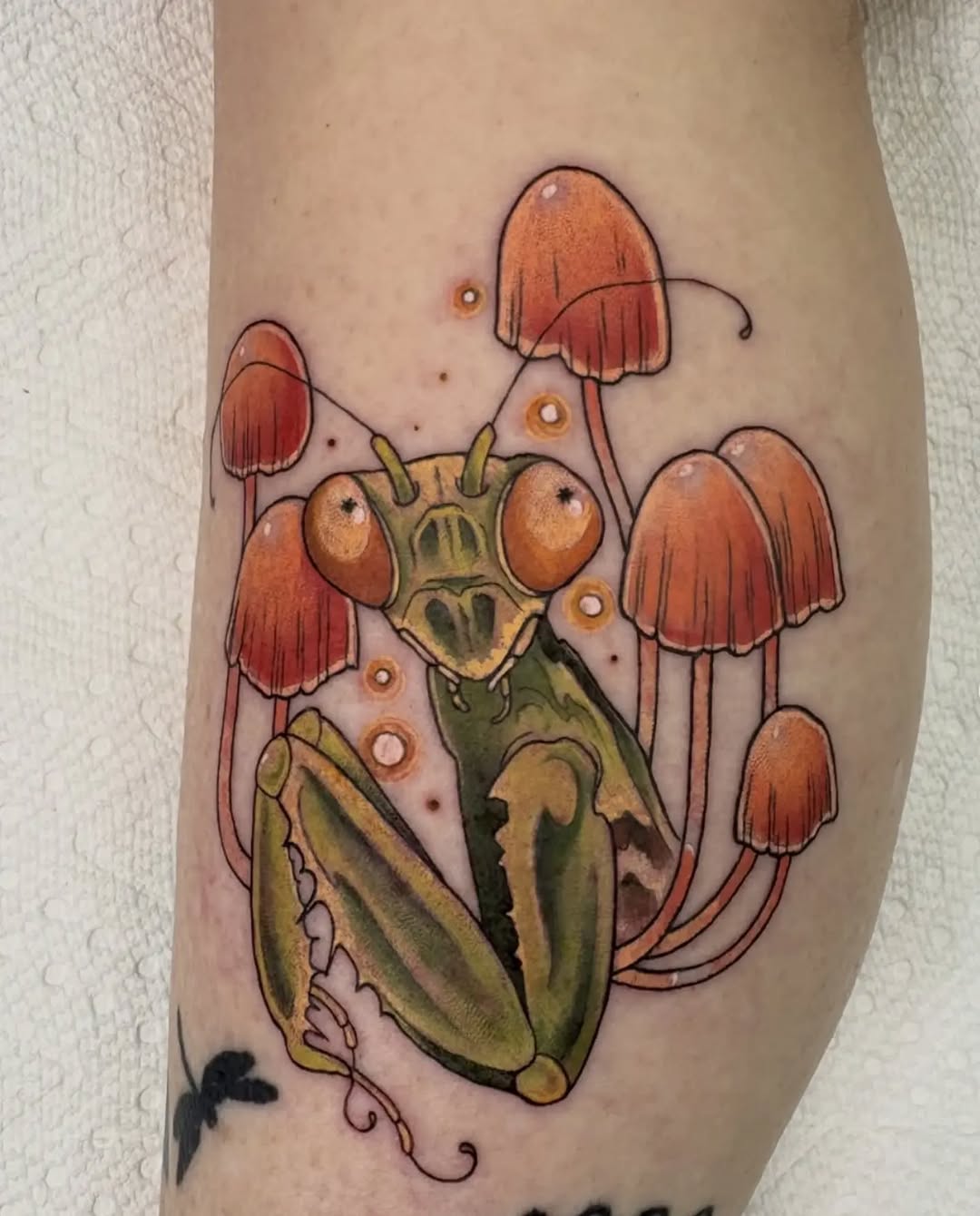 Tattoo by @unkindnessart — new_school, illustrative