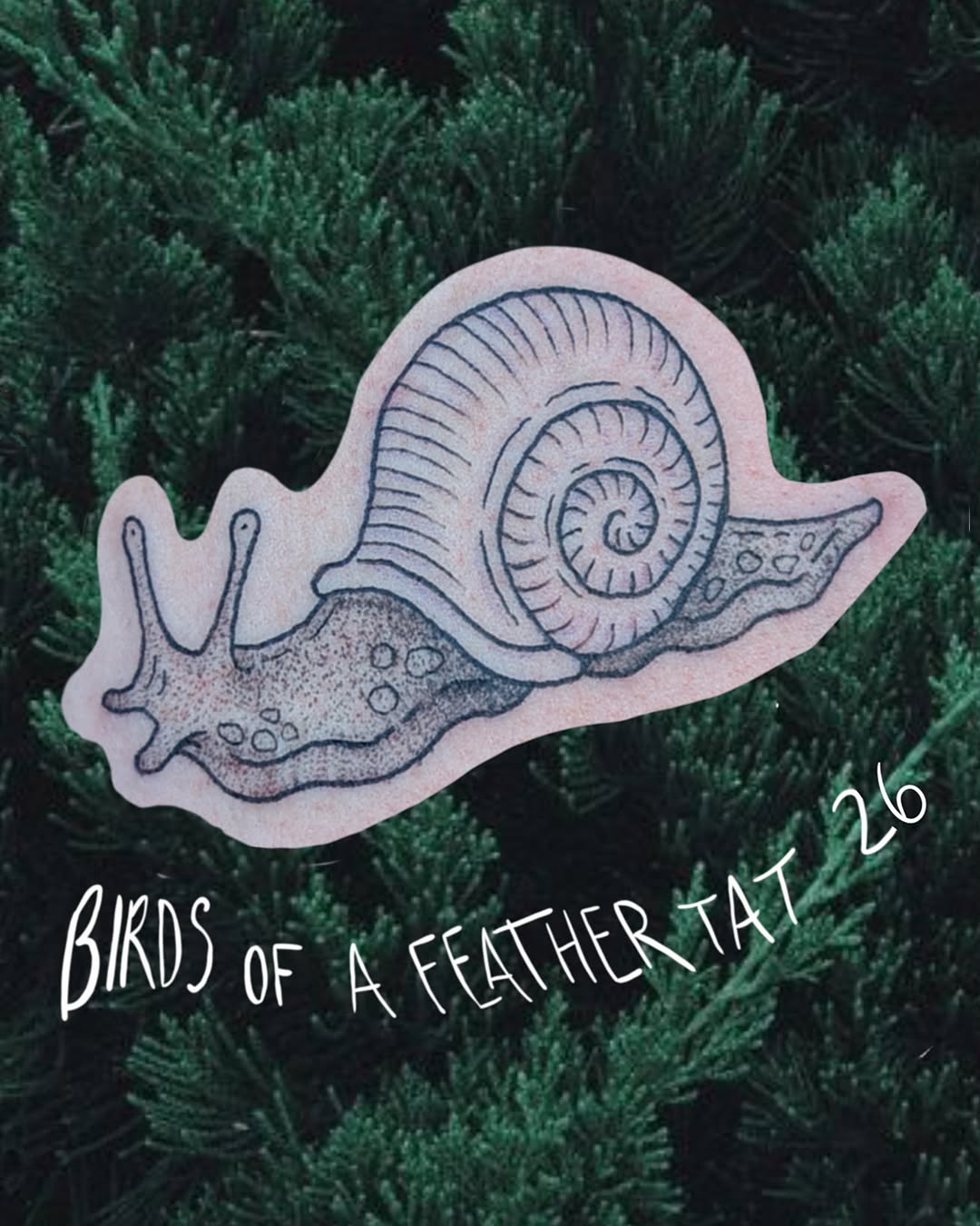 Tattoo by @birds.of.a.feather.tat — illustrative, dotwork