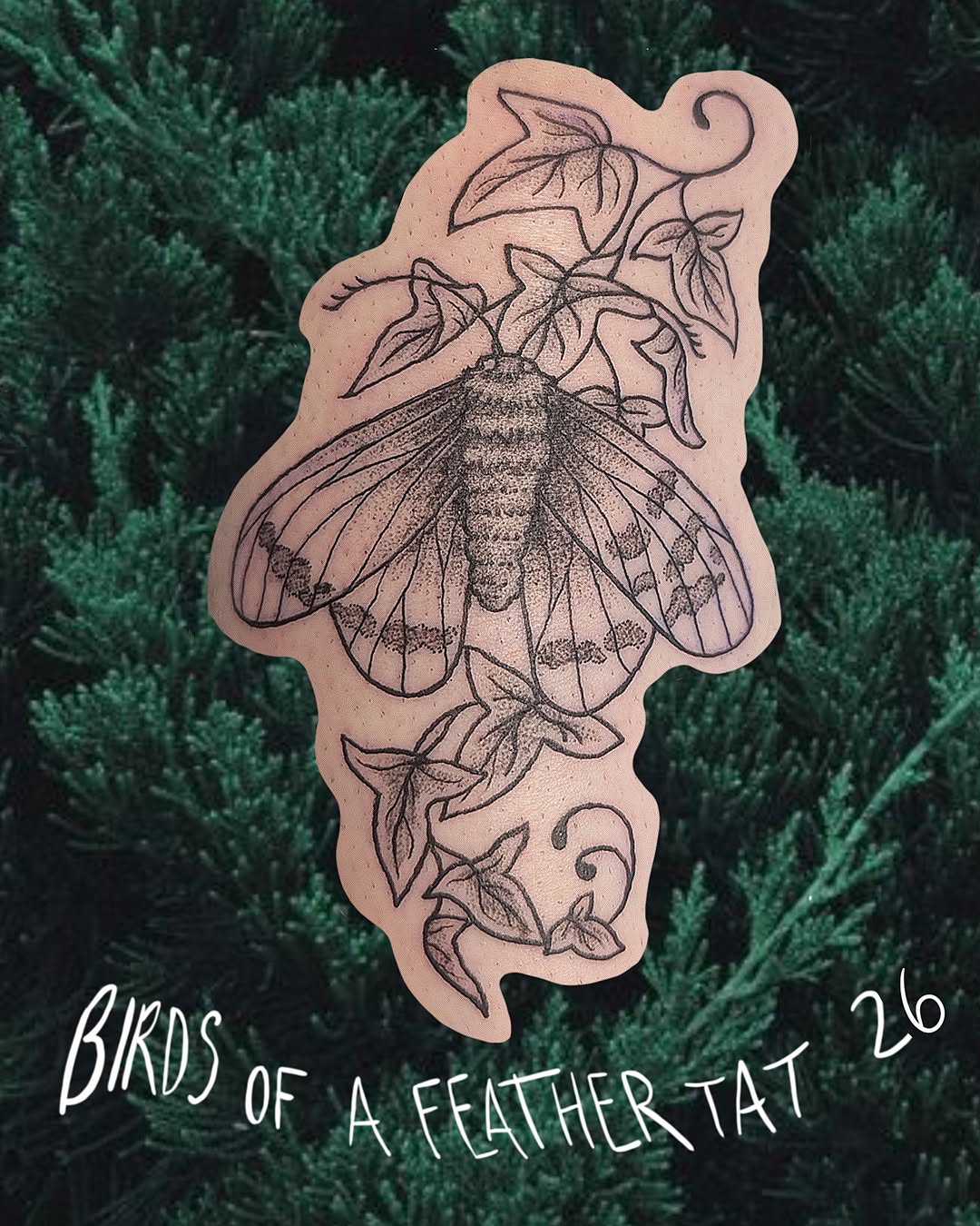 Tattoo by @birds.of.a.feather.tat — dotwork, fine_line