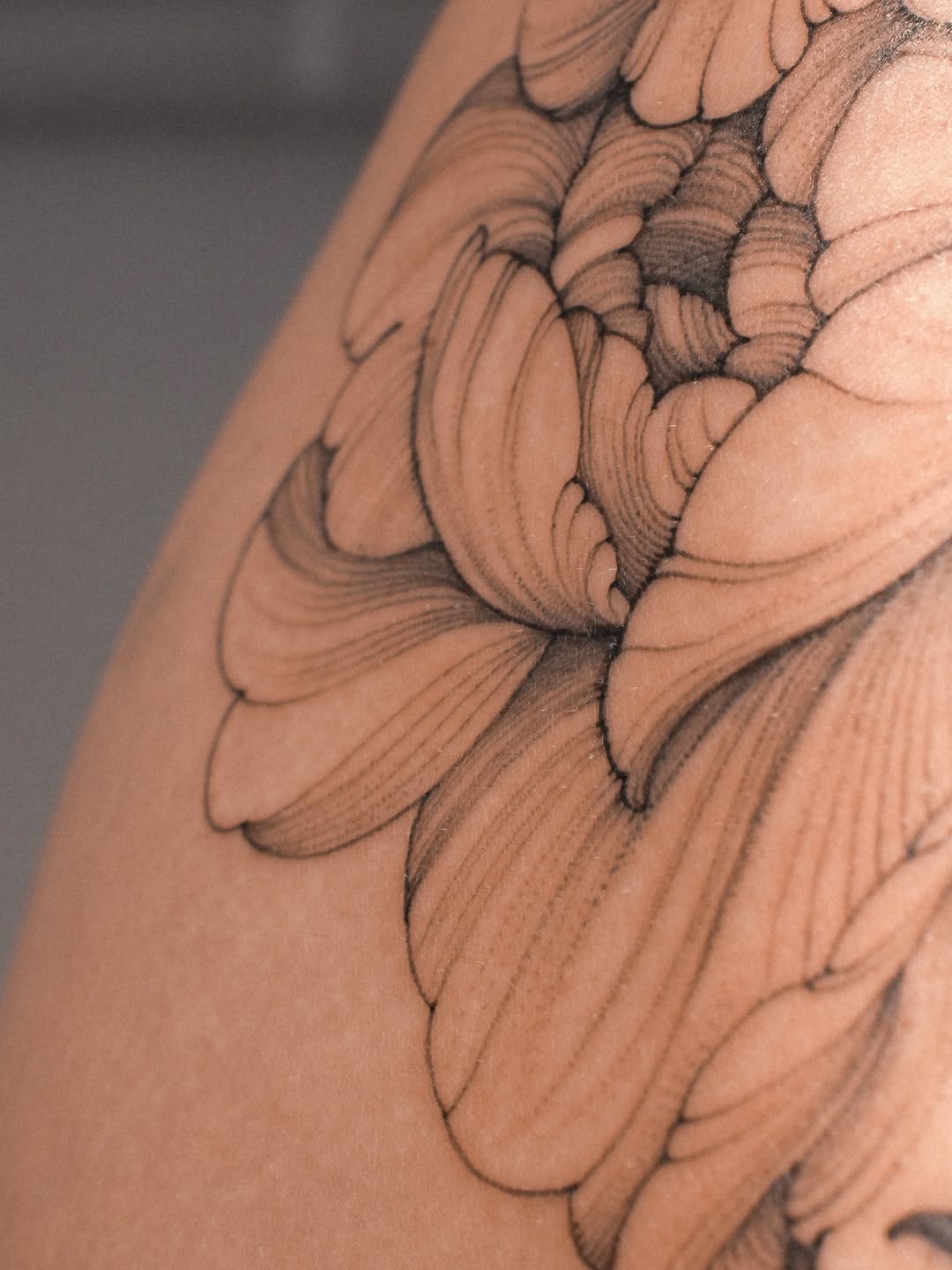 Tattoo by @yuyutattoo — fine_line, dotwork