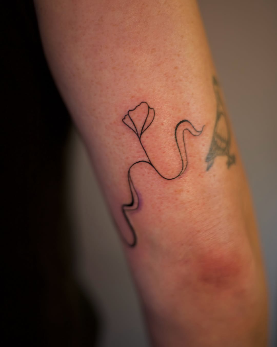 Tattoo by @gingerteatattoos — fine_line