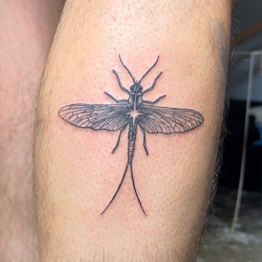 Tattoo by @bluebyrdtattoos — fine_line, black_and_grey