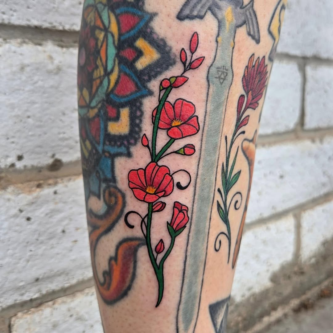 Tattoo by @aqua.suntattoos — american_traditional