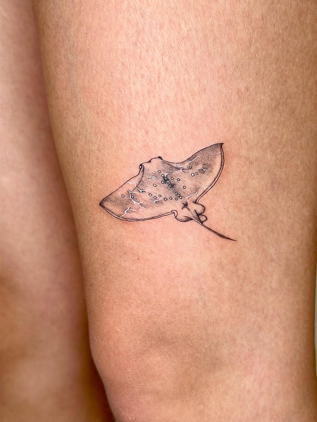 Tattoo by @tsuinami.tattoos — fine_line, black_and_grey