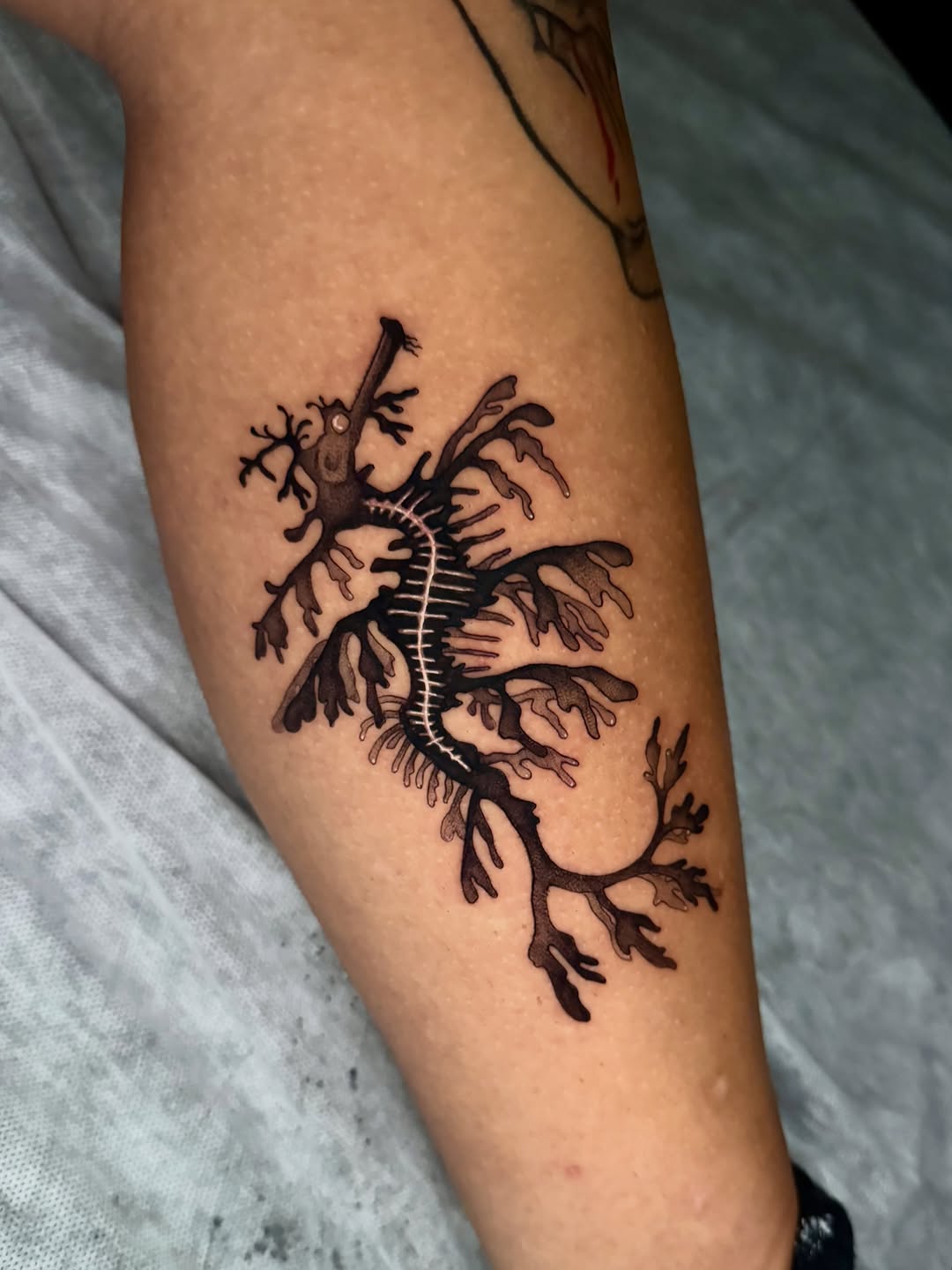 Tattoo by @hackytats — black_and_grey, realism