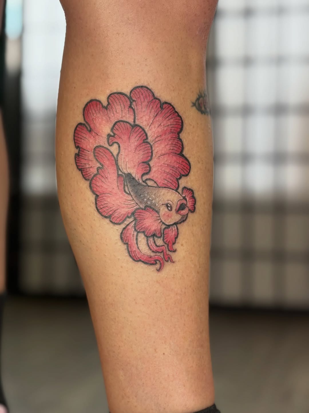 Tattoo by @damnginatattoos — japanese_irezumi, american_traditional