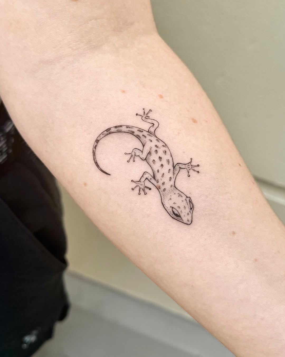 Tattoo by @lyndsay.ink — fine_line, dotwork