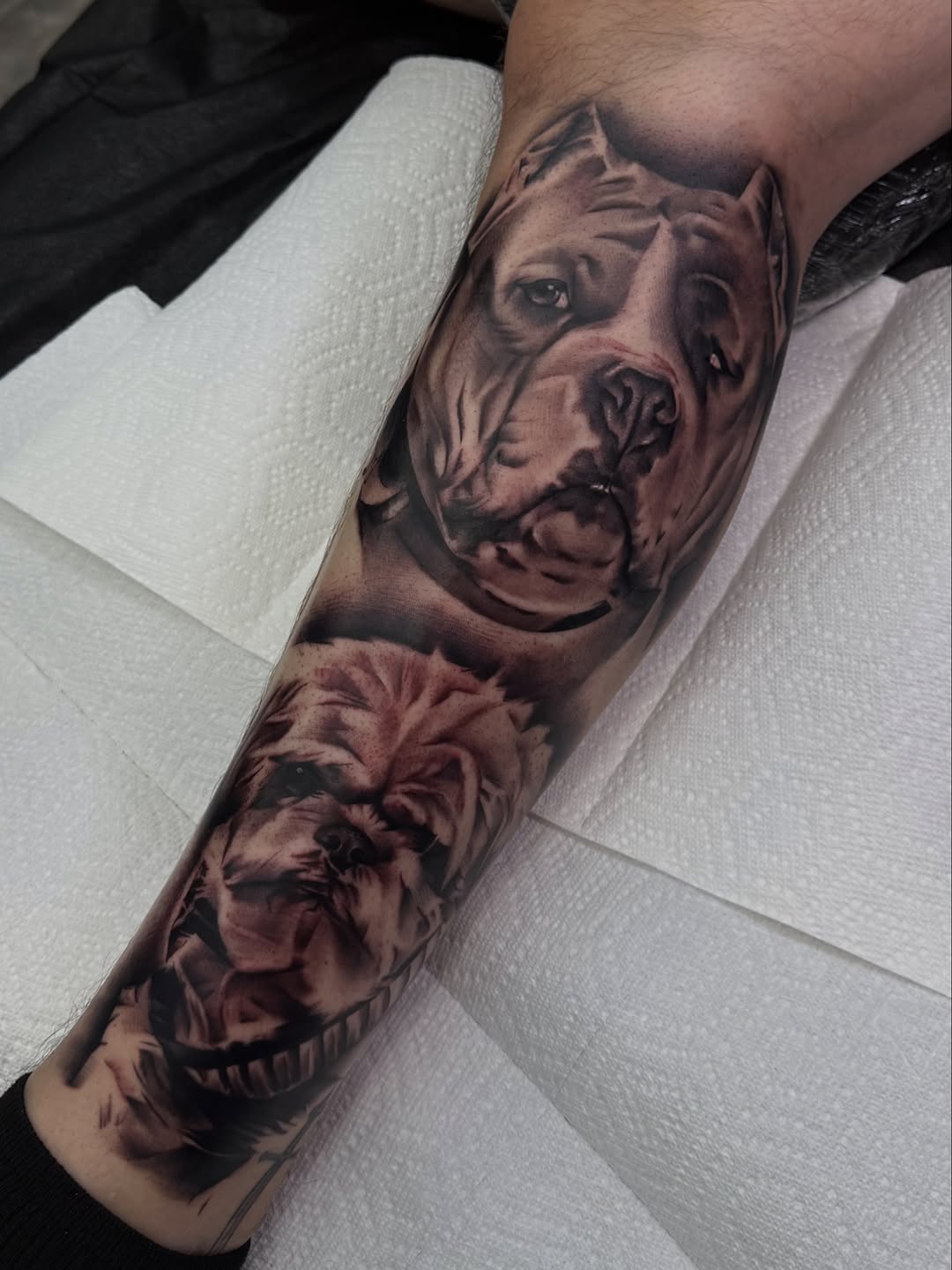 Tattoo by @alinas_tattoos — realism, black_and_grey