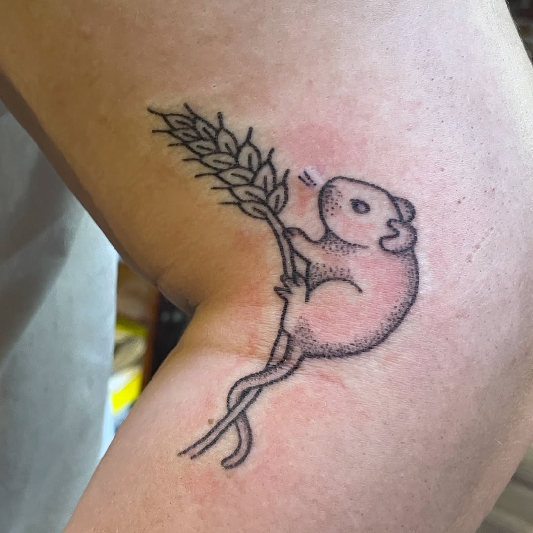 Tattoo by @roepoke — fine_line, dotwork