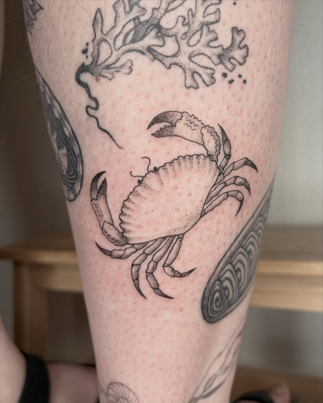Tattoo by @siltyloamtattoo — fine_line, dotwork