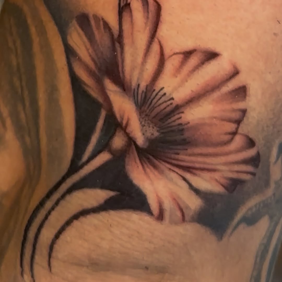 Tattoo by @persialeilani — realism, black_and_grey