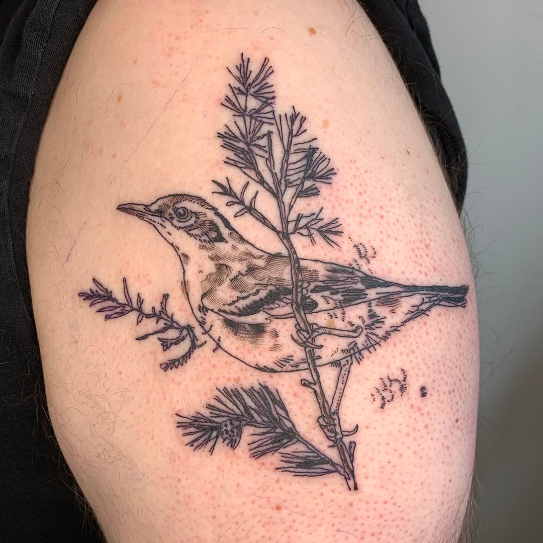 Tattoo by @lamhamilton β illustrative, black_and_grey