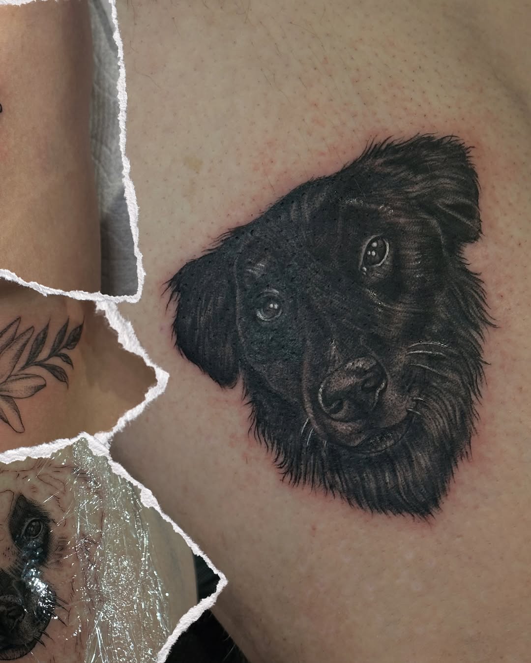 Tattoo by @dogtoothtattoos — realism, black_and_grey