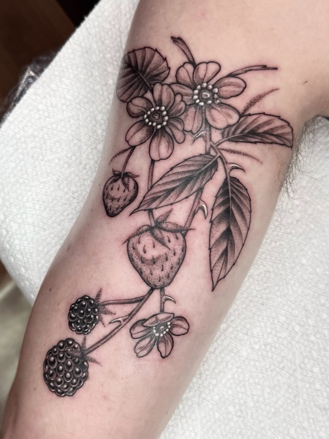 Tattoo by @horsegirltats — black_and_grey, realism