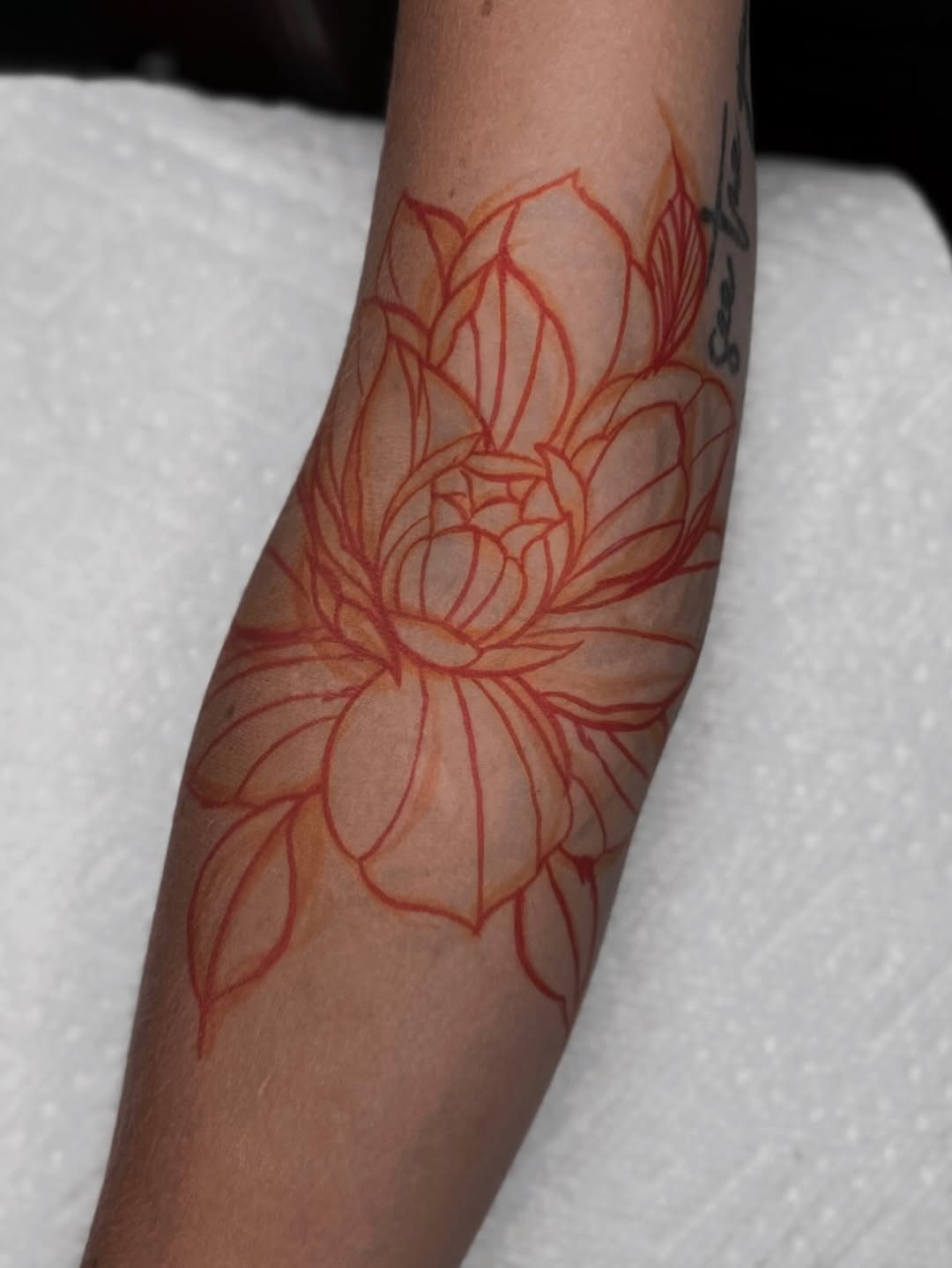 Tattoo by @katfishtattoos — fine_line