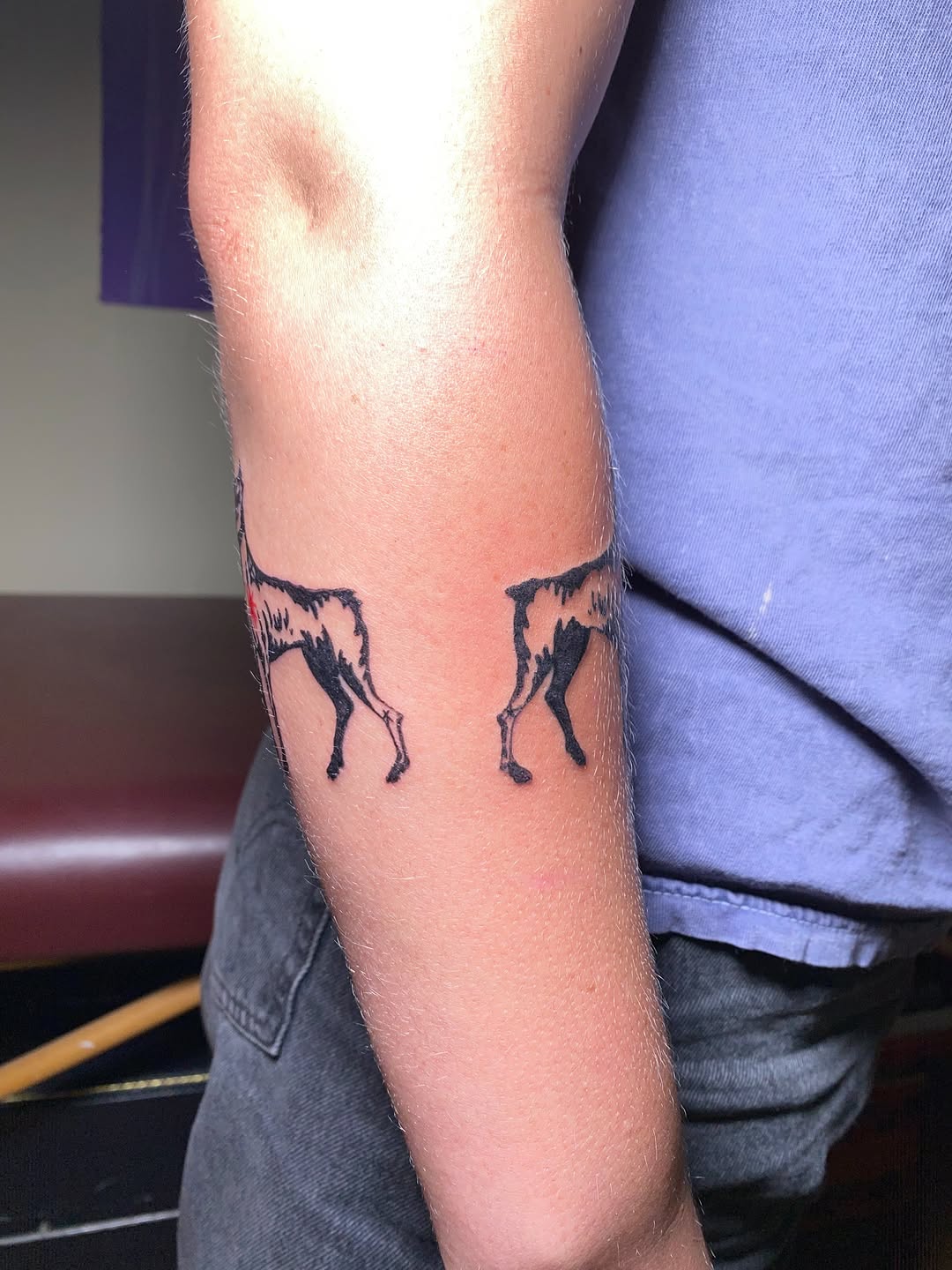 Tattoo by @littleblackdogtattoo — fine_line, black_and_grey
