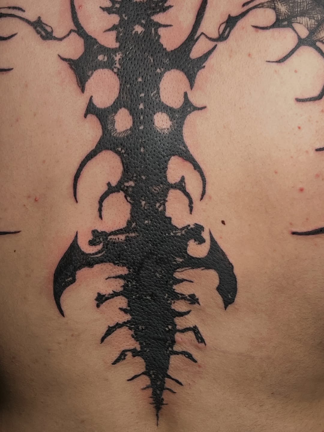 Tattoo by @666umbra.ttt — blackwork