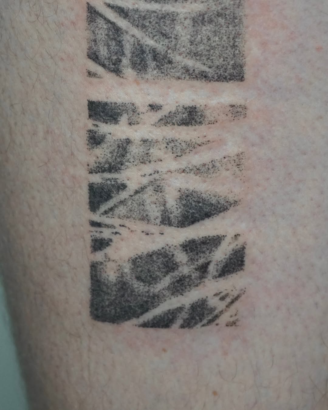 Tattoo by @texturemapping_ — dotwork, black_and_grey