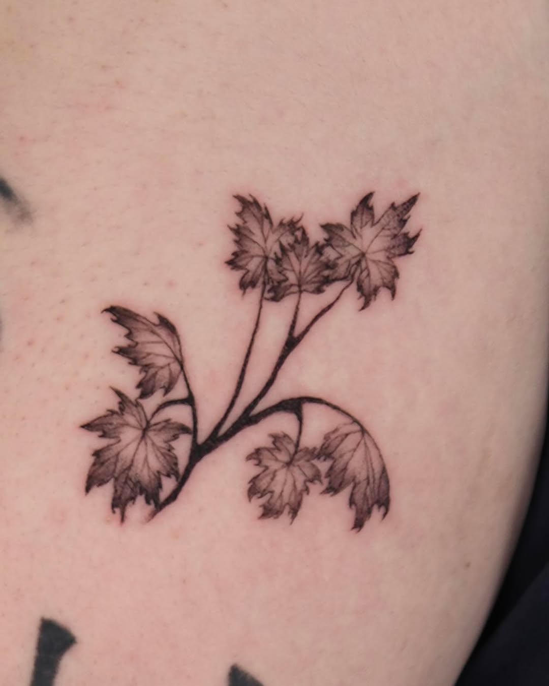 Tattoo by @moonfexx — fine_line, black_and_grey