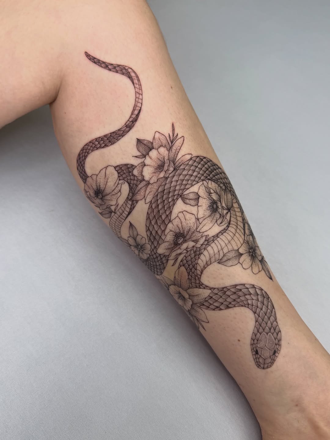 Tattoo by @heneseetattoo — fine_line, dotwork