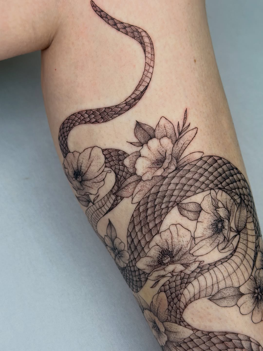 Tattoo by @heneseetattoo — fine_line, dotwork
