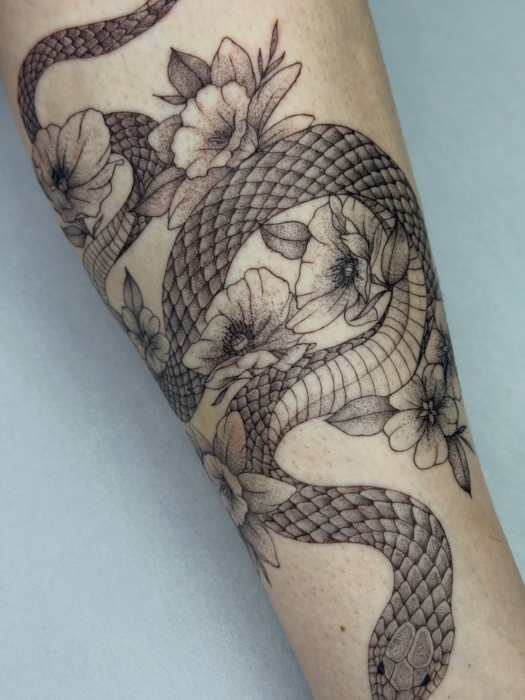 Tattoo by @heneseetattoo — fine_line, dotwork