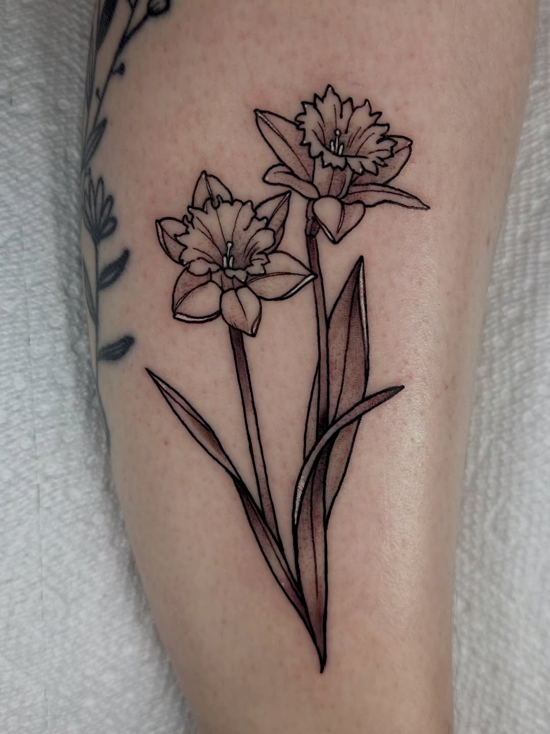 Tattoo by @raerae.tattoos โ fine_line, black_and_grey