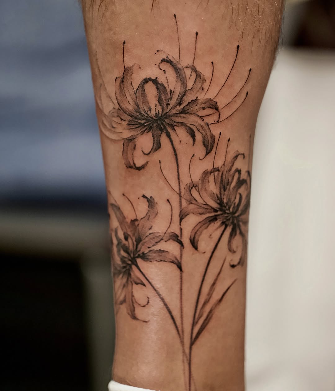 Tattoo by @d.w._modoink — black_and_grey, fine_line