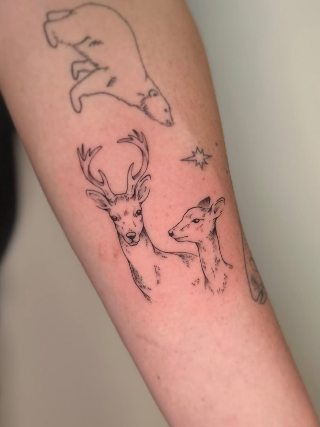 Tattoo by @bycristaliana — fine_line, illustrative