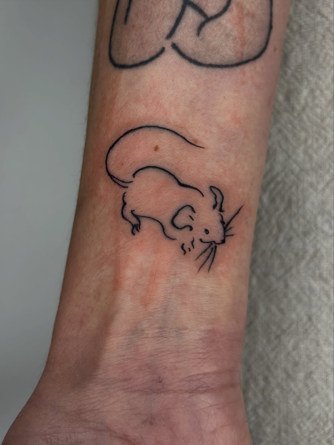 Tattoo by @settedoro.tattoo — fine_line, minimalist