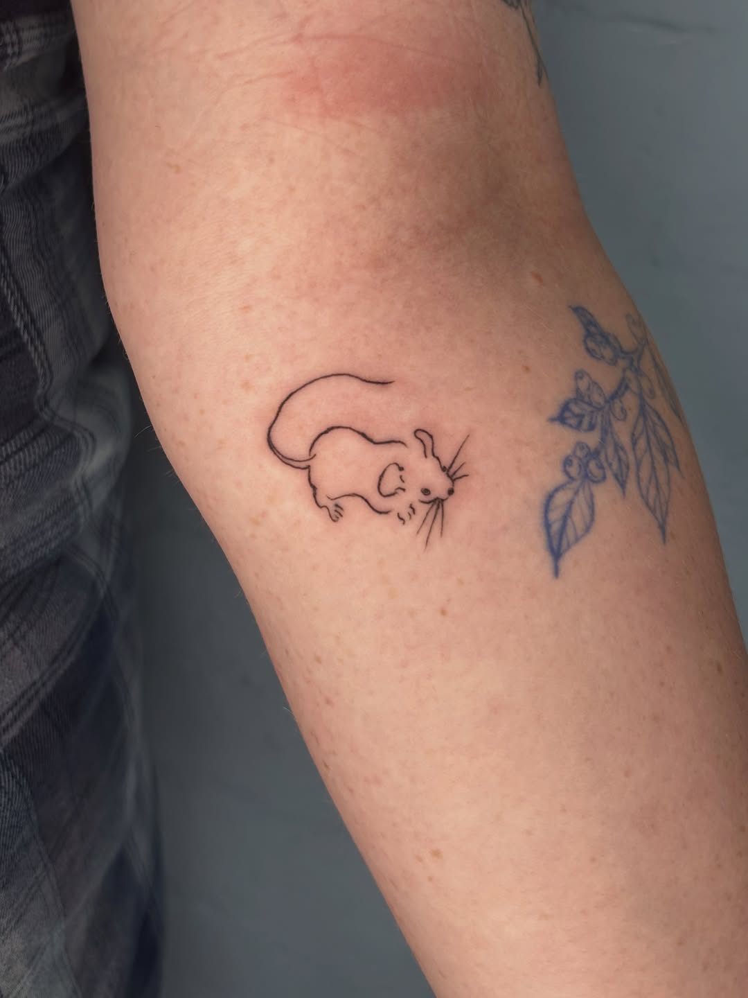 Tattoo by @settedoro.tattoo — fine_line, minimalist