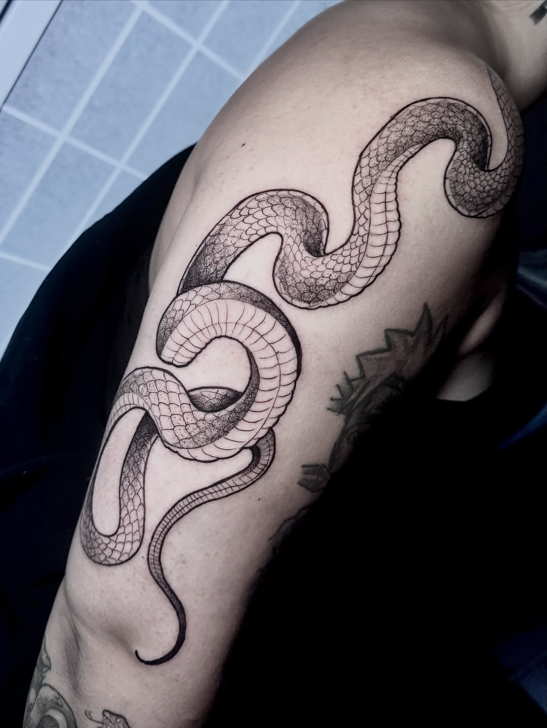 Tattoo by @swamp.witch.tattoos — black_and_grey, dotwork