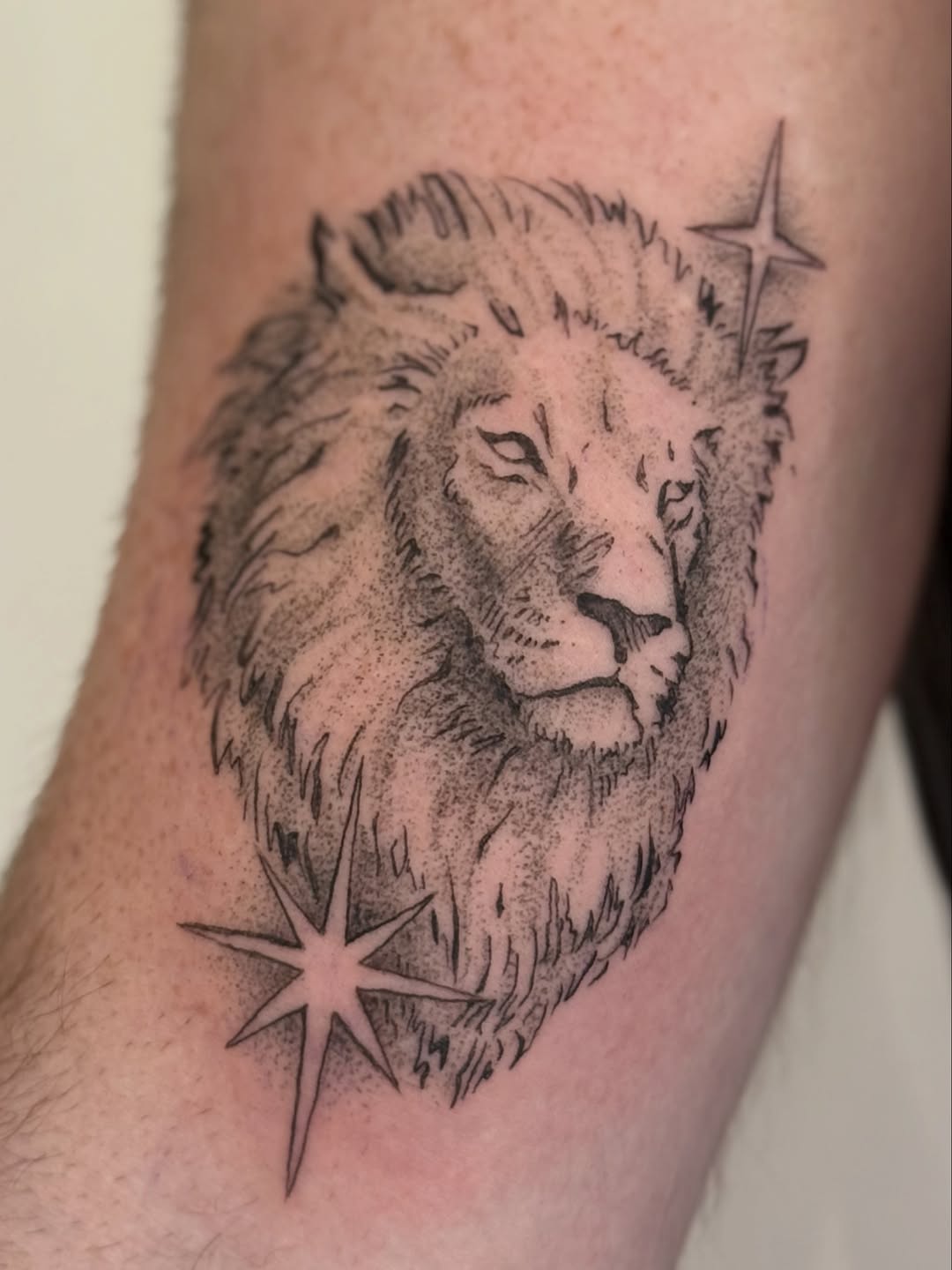Tattoo by @tattoo.meg — dotwork, black_and_grey