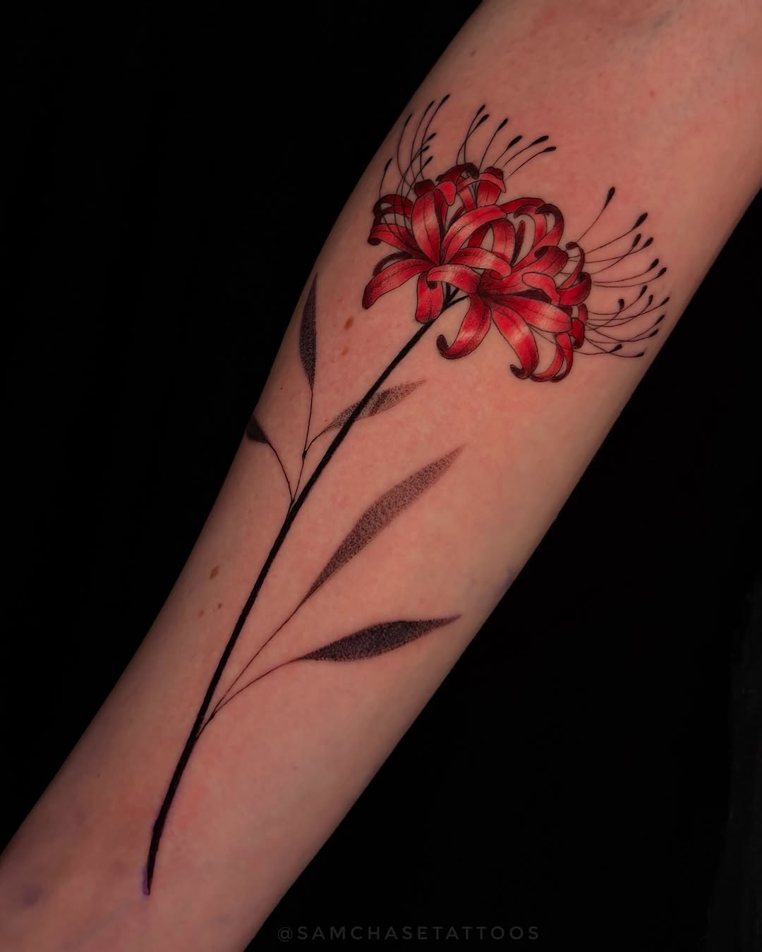 Tattoo by @samiamthesam β fine_line, dotwork